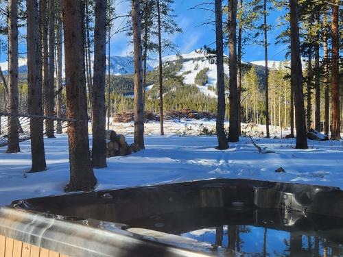 Warrior's Mark West Haus | Lazy Fox Lodge in National Forest View