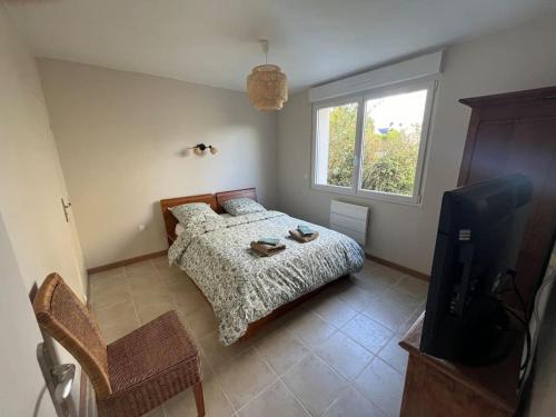 Langueux Wohnung | Le Safran - Appartement chaleureux