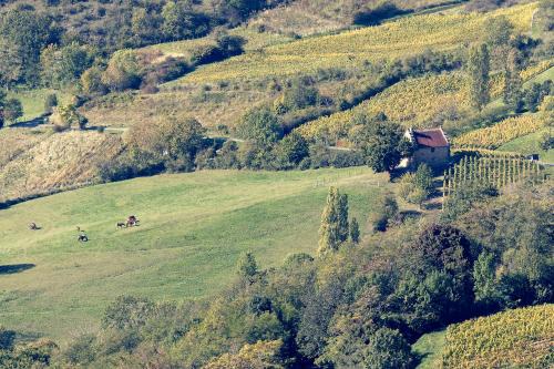 Gizia Haus | Les Billardes - le gite - Jura
