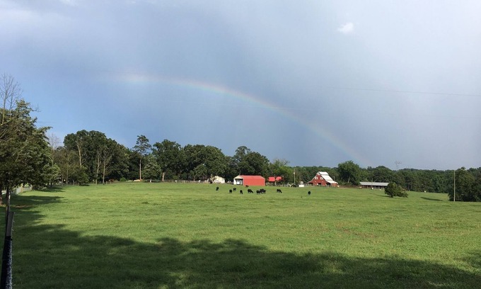 Baldwin Haus | Flucht auf die Farm! NE GA - Haustiere / Hunde Willkommen Gesamte Garage Apt und 12x45 Pool!