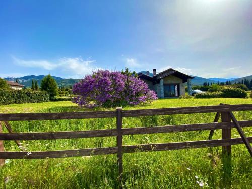 Amfikleia-Elateia Wohnung | Lithos Villas