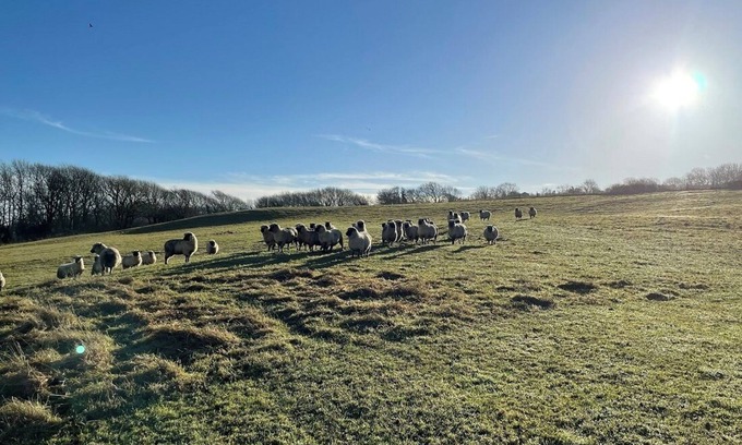 Kingston Haus | Little Barn Escape: Serene Getaway with Scenic Views of Corfe Castle