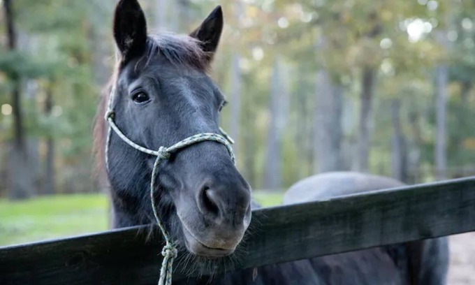 Canton Haus | Little Bit Farm - Create your own stay