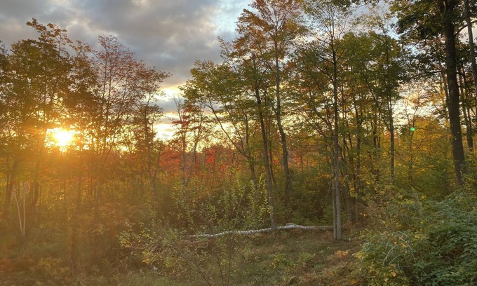 Iron River Haus | Little house Retreat on the lake