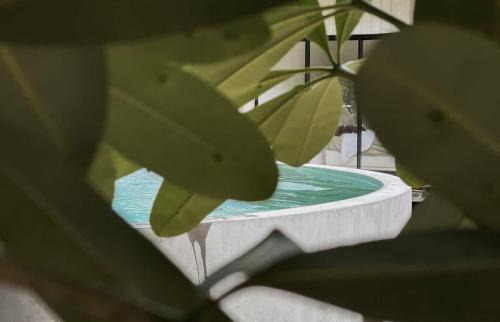 Mission Beach Haus | Little Lani - Modern Beach Shack