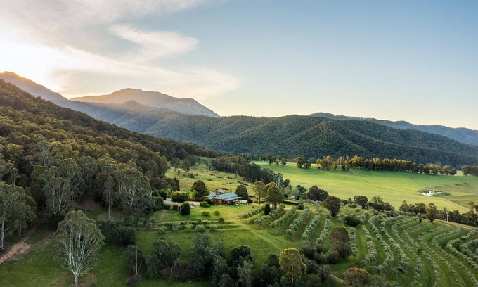 Porepunkah Kabine | Little Olive Cabin - Nestled into the foot of Mount Buffalo and central to the most popular tourist attractions in the North East of Victoria. Lovers of quirky eclectic style will bask in the retro and vintage vibes of The Little Olive Cabin.