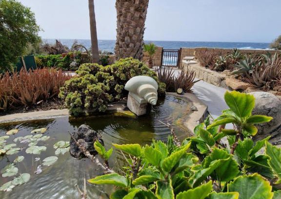 Arenas del Mar Wohnung | Little Paradise in El Médano 2