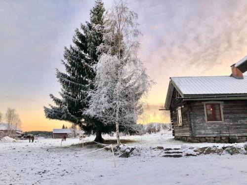 Hassela Haus | Log Cabin from 1820s with wood-heated sauna