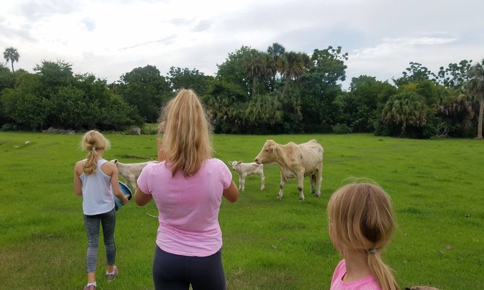 Okeechobee Kabine | Log Cabin Surrounded by Nature