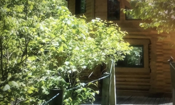 Duluth Kabine | Log cabin!!
