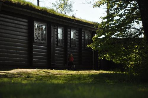 Ikast-Brande Municipality Haus | Log-House Wildernest
