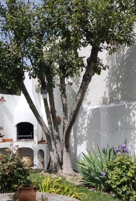 Buendia Haus | LOS SUEÑOS DE BUENDÍA