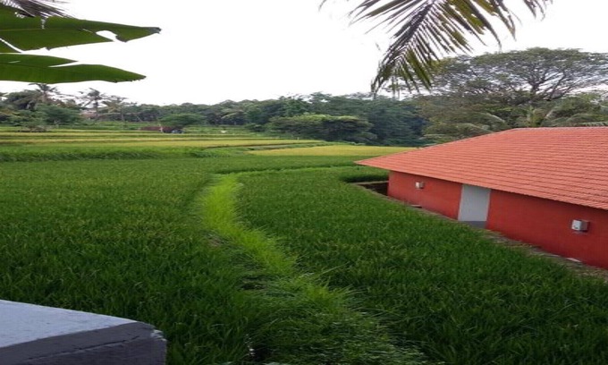 Singaraja Haus | Lotus Guesthouse Sudaji: ein natürlicher und einzigartiger Ort im Norden Balis.