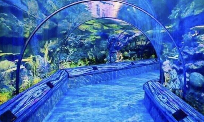 Ocoee Haus | Lovely pool home with screened in patio