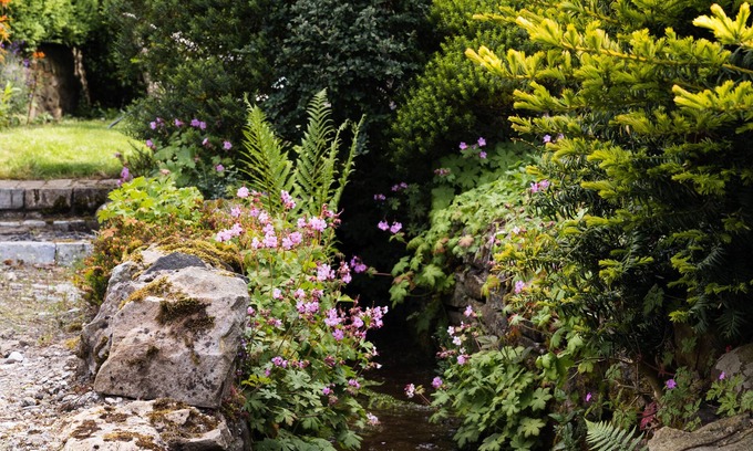 Barnard Castle Hütte | Low Thearns