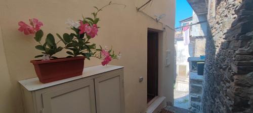 Sangineto Wohnung | Lumira Vista - Borgo