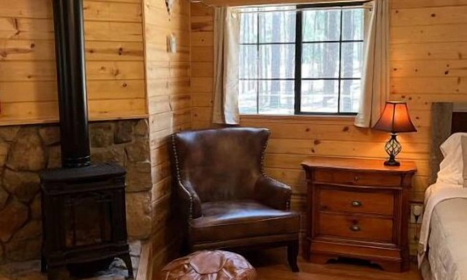 Alpine Wohnung | Luxe cabin getaway in the tall pines of Alpine AZ