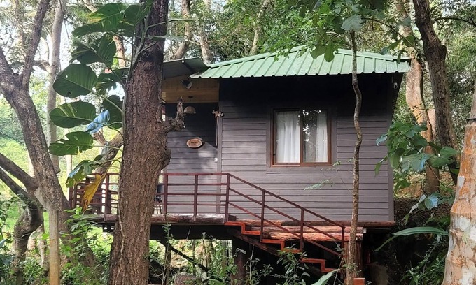 Sirsi Hütte | Machan @ Captain's Camp, Sirsi