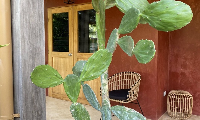 Playa Negra Haus | Maison de Plage Avec Piscine sur Spot de Surf