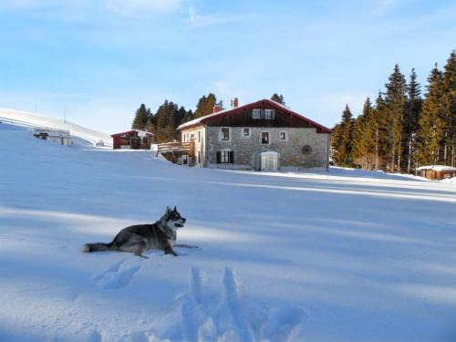 Septmoncel Haus | Maison isolée et calme à Septmoncel avec vue sur montagne