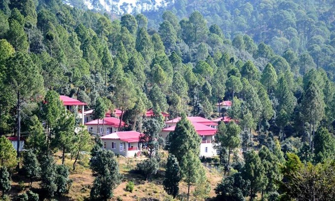 Majkhali Kabine | Majkhali Woods, Ranikhet, By Himalayan Eco Lodges