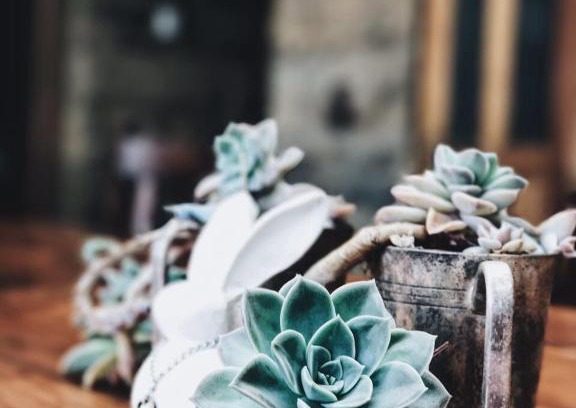 Clocolan Haus | Makoadi Farms Guesthouse