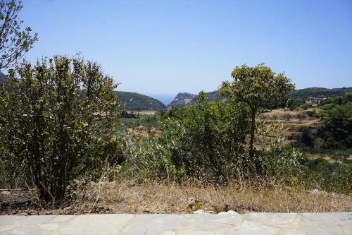 Manitochori Haus | Manitohori in the Trees