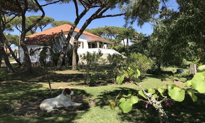 Magoito Haus | Solar do Magoito, luxuriöses Herrenhaus mit privatem Swimmingpool am Strand