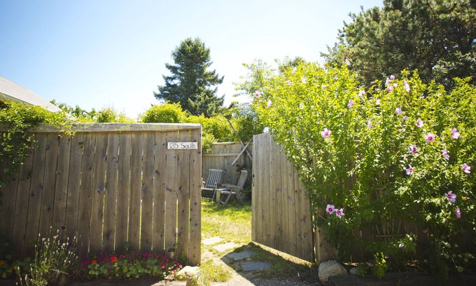 Edgartown Hütte | Martha's Vineyard 1BR, Haustiere ok, 10 Minuten zu Fuß zum Strand oder Edgartowns Geschäften!