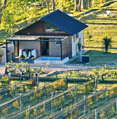 San Rafael Haus | Martyniuk lodges entre viñedos