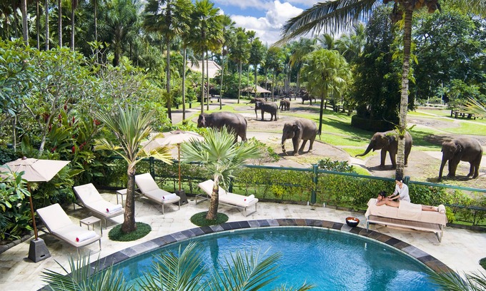 Taro Resort | Mason Elephant Lodge