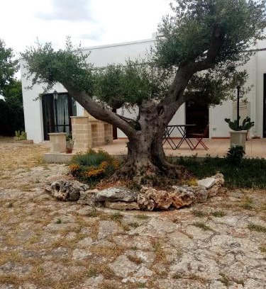 Mottola Haus | masseria chianca " Le Gravine"