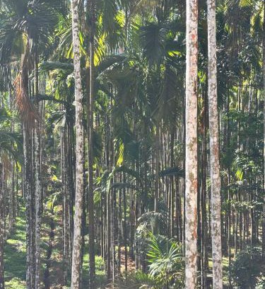 Hole Narsipur Haus | Max farms