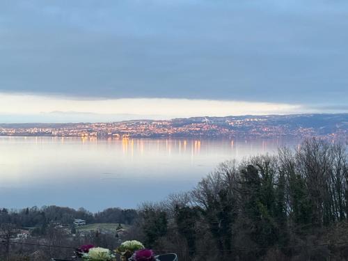 Maxilly-sur-Leman Wohnung | Maxilly appart