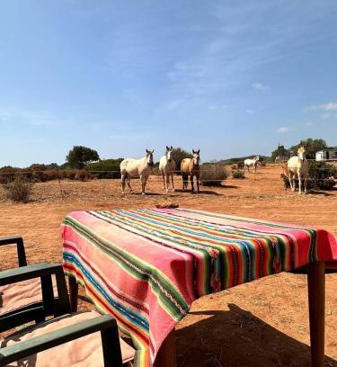 Lagos Haus | Michas caravan for 2 See the herd of horses from your bed