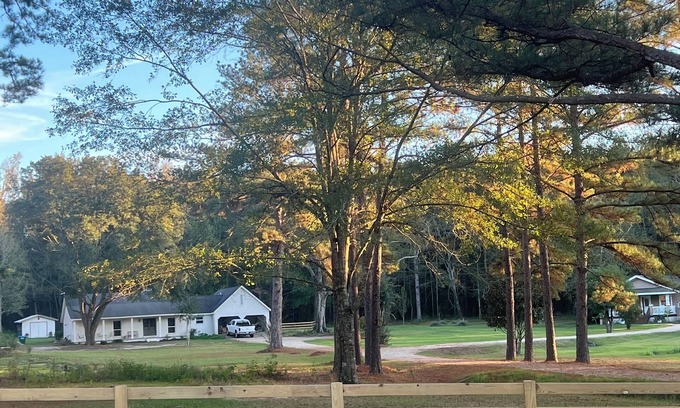 Eastabuchie Hütte | "Mini Farm" stay, Guest Cottage, 2 BD 1 Bath, Large Kitchen on 8 acres.