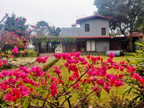 Belparao Haus | Minivets Nest