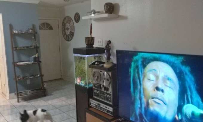 Milneburg Haus | Mins to Walmart Privately fenced, pet friendly single home with a large yard!