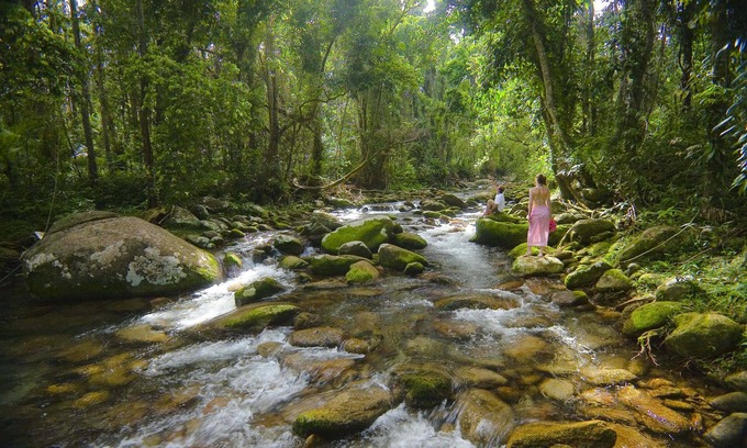 Bellenden Ker Haus | Misty Mountains Rainforest Retreat