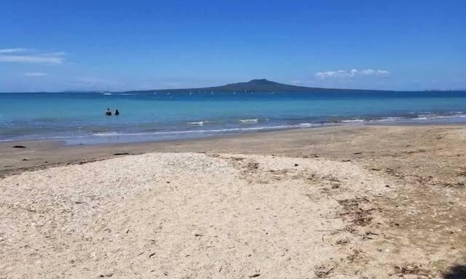 Hauraki Villa | Modern Home Takapuna | WI-FI | near Beach & CBD