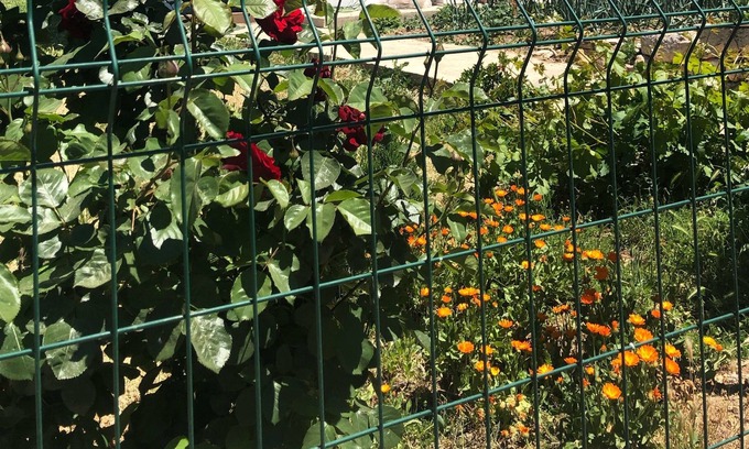 Korkuteli Haus | modern house in traditional turkish village- Geleneksel köyde modern bir ev