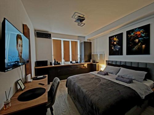 Onesti Wohnung | Modern Studio Onești