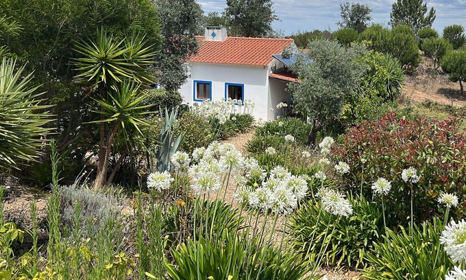 Santiago do Cacem Wohnung | Moinhos do Paneiro - Casa Mana