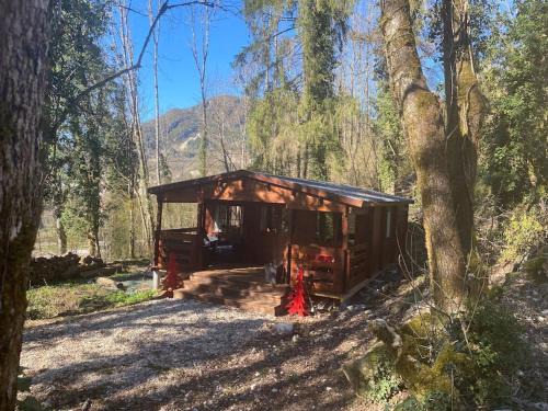 Villard-Saint-Sauveur Skihütte | Mon Chalet dans les bois