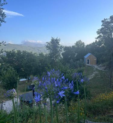 Seia Haus | Monkey Tiny Barnhouse with amazing views!