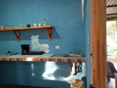Manuel Antonio Wohnung | Mono titi third floor