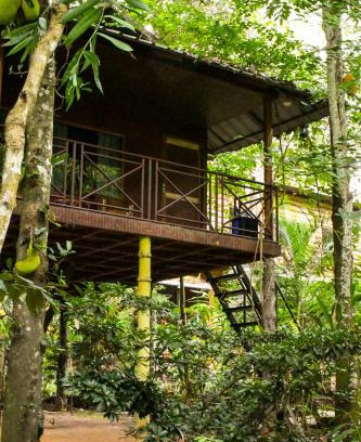 Pirmed Kabine | Monsoon Retreats Treehouse