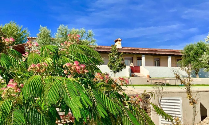 Pedrogao Haus | Monte das Oliveiras - Country House