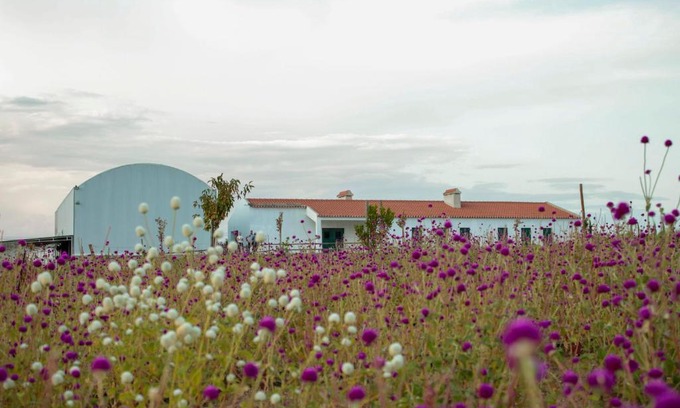 Sao Mancos Haus | Monte de Palma- Quinta Biodinâmica Momentos Únicos