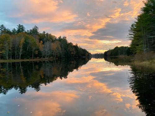Belgrade Haus | MoonLight Treehouse At Belgrade Hospitality